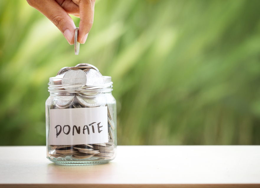 Arab Youth Sustainable Development Network (AYSDN)